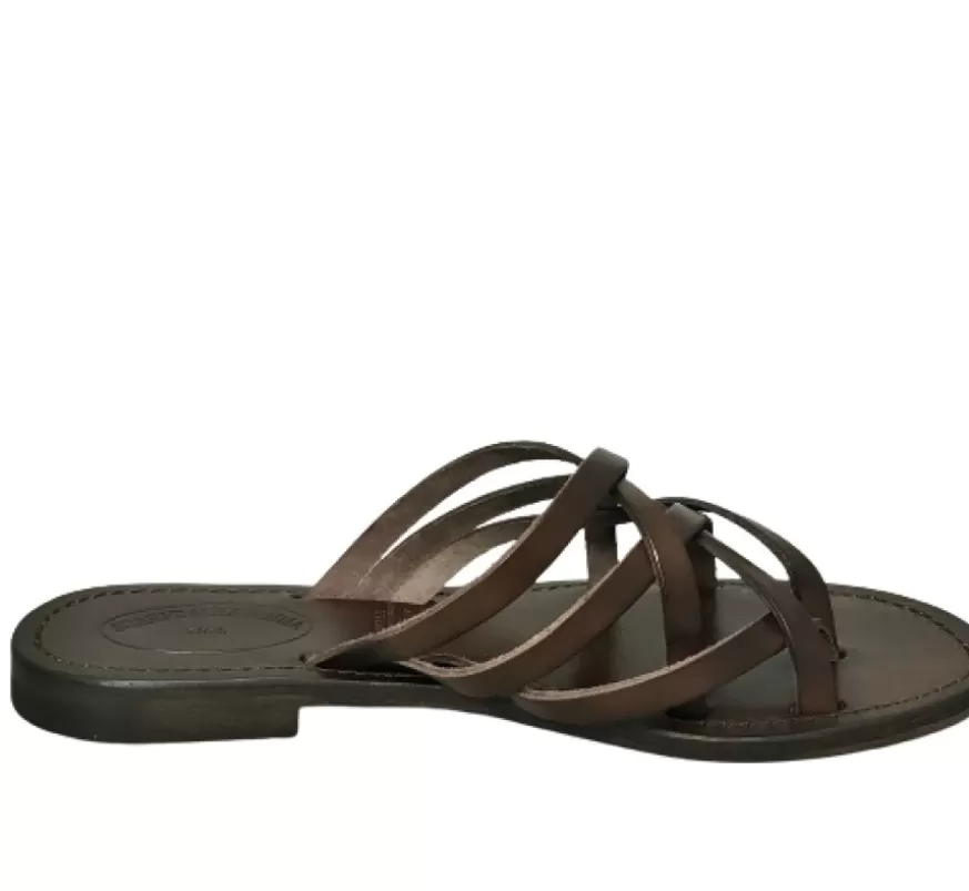 Donna CAMARRI CALZATURE Scarpe Donna | Ciabatta Infradito In Pelle Testa Di Moro Mod. 4409